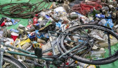 Clean-Up-Day: Zehntausende Schweizer im Kampf gegen Littering