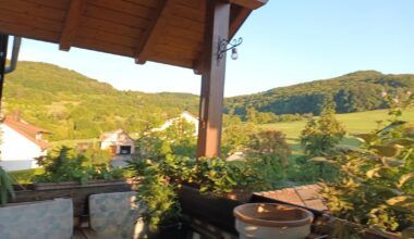 Hier ist mein Balkon. Ich hätte gerne Sichtschutz gepflanzt und möchte natürlich die Aussicht erhalten. Vorschläge?