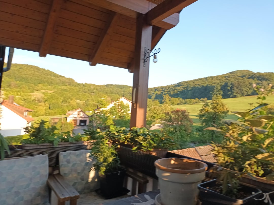 Hier ist mein Balkon. Ich hätte gerne Sichtschutz gepflanzt und möchte natürlich die Aussicht erhalten. Vorschläge?