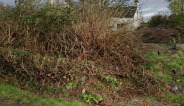 Abandoned house in Donaghadee