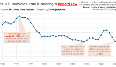 [OC] The US Homicide Rate is near a Record Low