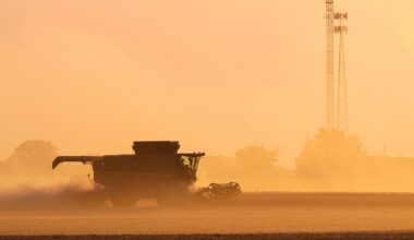 Trump's trade war with China puts US soybean farmers in peril
