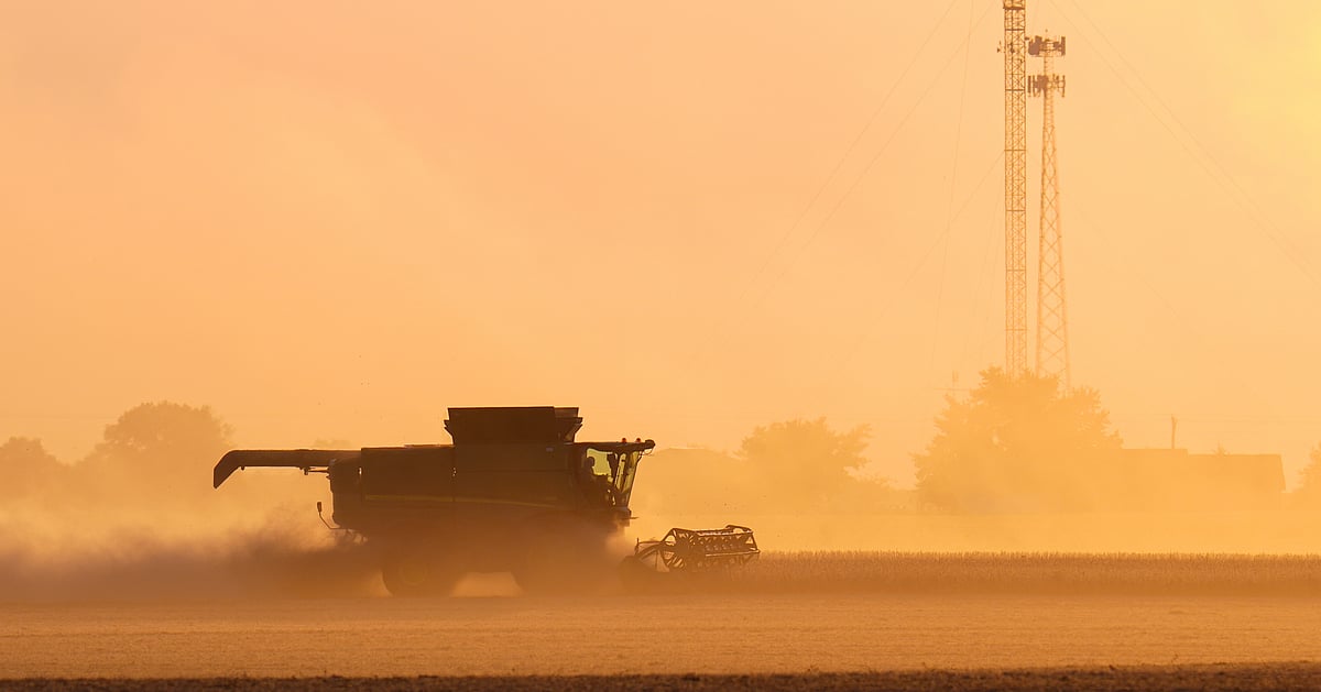 Trump's trade war with China puts US soybean farmers in peril
