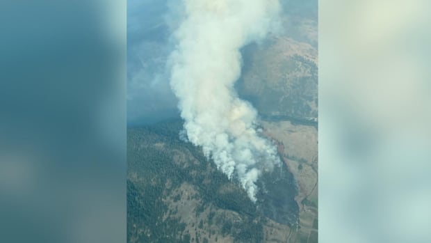Wildfire behind gas station sparks evacuation order in B.C.'s Okanagan
