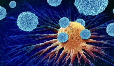Velcro-Like Immunotherapy Shows Promise for Diverse Cancers