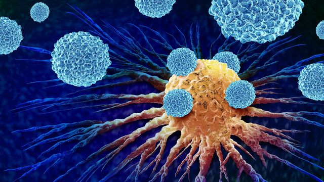Velcro-Like Immunotherapy Shows Promise for Diverse Cancers