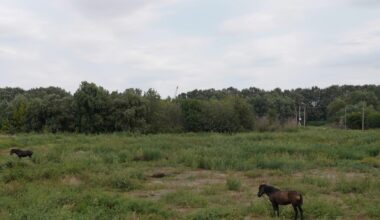 Russian drone enters Romanian airspace during Russian attack on neighboring Ukraine