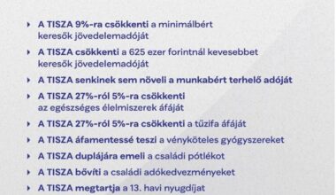 Magyar Péter: 4 millió szórólapot juttatunk a magyar háztartásokba