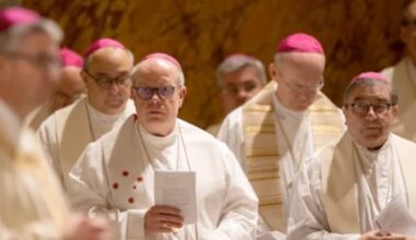 On the controversy in the German episcopate regarding Leo XIV's clear “no” to liturgical blessings for gay couples - ZENIT