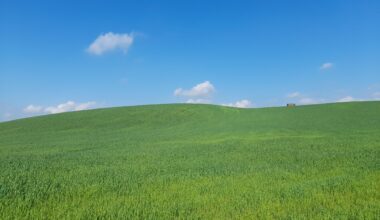 Taken whilst walking in Wales. Looks like the old windows desktop background 😆