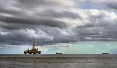 Trinidad and Tobago Receives Bids for Four Out of 26 Deepwater Oil and Gas Blocks