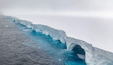 One of the world’s oldest icebergs will disappear underwater in the coming weeks