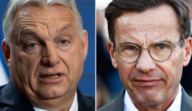 Ansiktsbilder på Orbán och Kristersson.