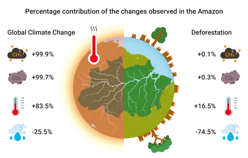 Illustration of the percentage contributions of global climate change and deforestation to changes in methane, carbon dioxide, maximum surface temperature, and total precipitation during the dry season.