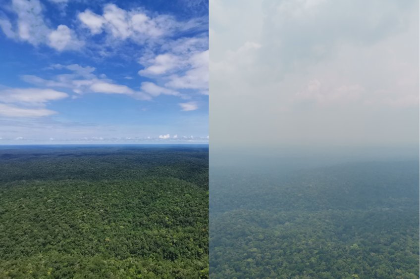 Aerial view of a rainforest split in half: vibrant greenery beneath a clear blue sky on the left, contrasted by a foggy, indistinct view on the right.