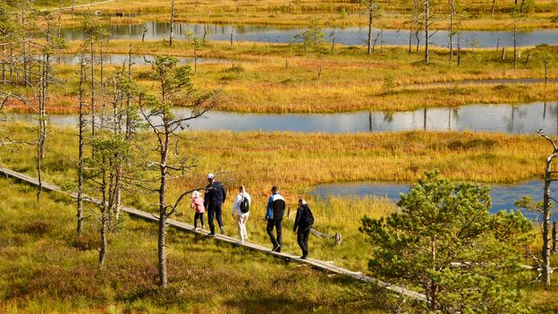 Exploring Estonia's otherworldly wild landscapes
