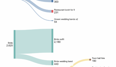 [OC] Our 2020 pandemic wedding costs for 9 people