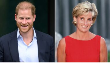 A composite of a picture of Prince Harry in 2025 and a picture of Princess Diana in 2007