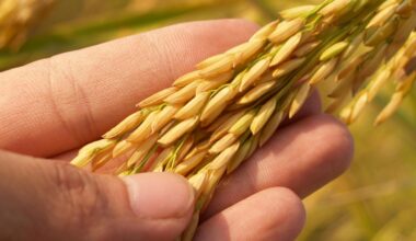 Trump inks trade deal with Japan to increase ag sales by $8 billion 