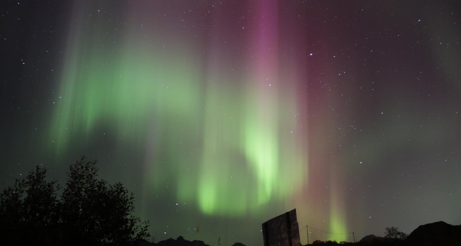 Northern Lights in Lofoten.