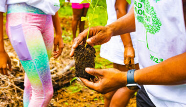 A new survey on climate change awareness among American teenagers