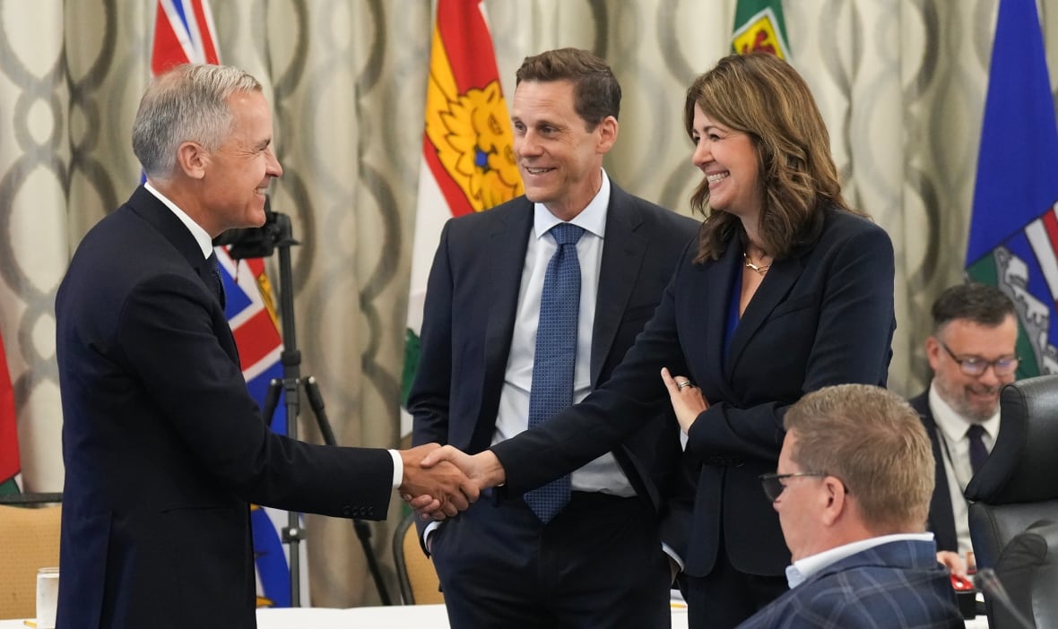 A man and a woman smile and shake hands, and another man stands between them.