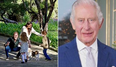 Prince Harry 'Closer' to Taking Children to U.K. After King Charles Reunion