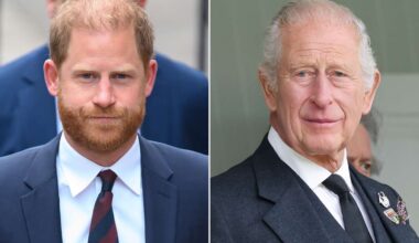 Prince Harry Says 'Focus Has to Be on My Dad' After Reunion with King Charles