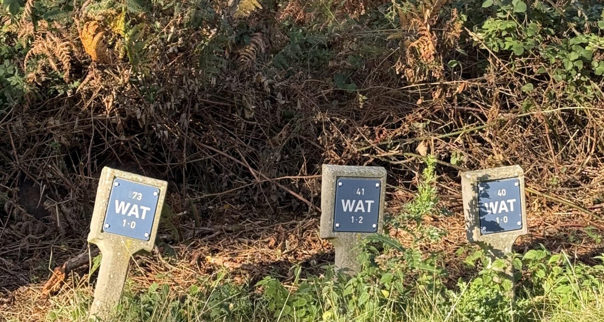 Wife: Asks something from other side of the house. Me: