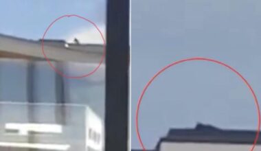 MAGATS logic: ignore facts, blame Democrats, cheer if Pedo Trump’s crew does the same. Unbelievably pathetic.