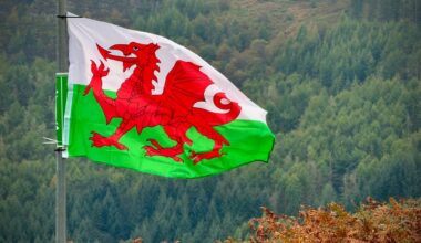 Broke a my #1 cycling rule today, never stop on a climb. Welsh flags on the Rhigos climb, Treherbert side.