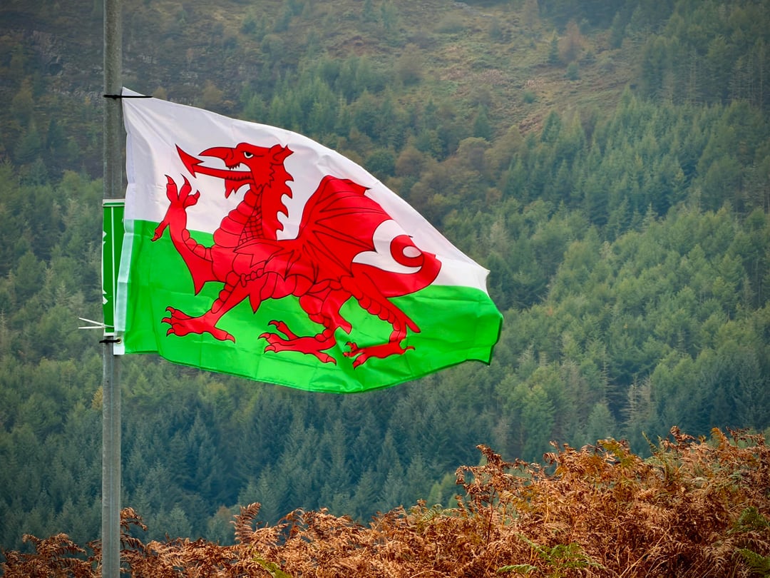 Broke a my #1 cycling rule today, never stop on a climb. Welsh flags on the Rhigos climb, Treherbert side.