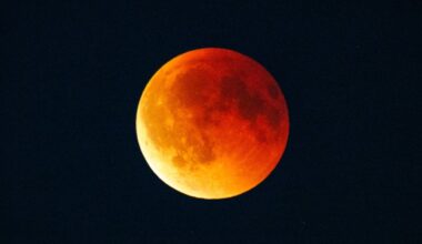 Lunar Eclipse, today, Copenhagen