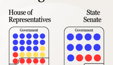 Alaska's Unique Coalitions [OC]