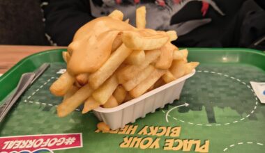 Vive la Belgique! More fries on top of the bakske than in the bakske