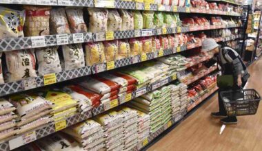 Rice prices in Japan go up again, effects of releasing government-stockpiled rice wanes after 3 months