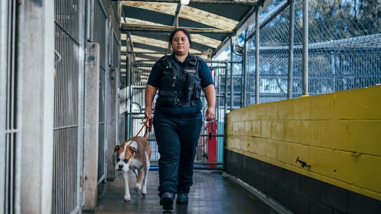 A new Auckland Council campaign is targeting owners who let their dogs roam.