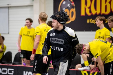 roberts_trepss_rubene_vv_2025.jpg