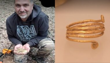 Bronze Age Gold Hoard Found By Metal Detectorist In Romania