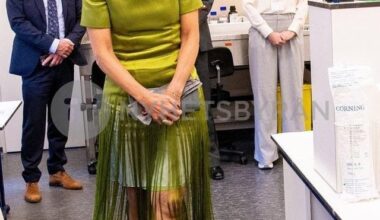 Queen Maxima wearing Natan  couture for an engagement today