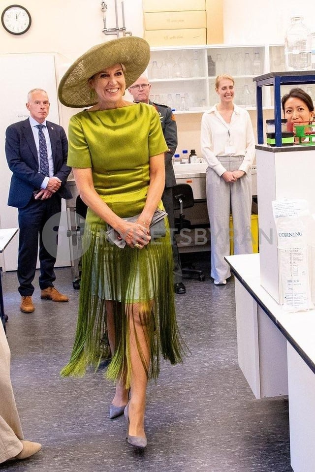 Queen Maxima wearing Natan  couture for an engagement today