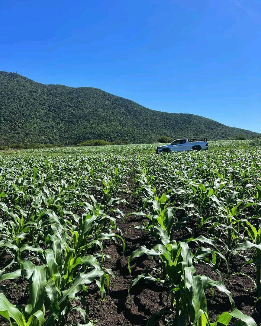 “Discover the Stunning View That Captivated My Heart – Can You Guess Where It Is?”