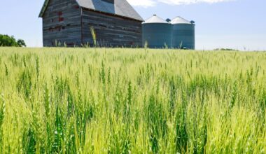 US farmers face 'financial calamity' without extra aid soon, Republican lawmakers say