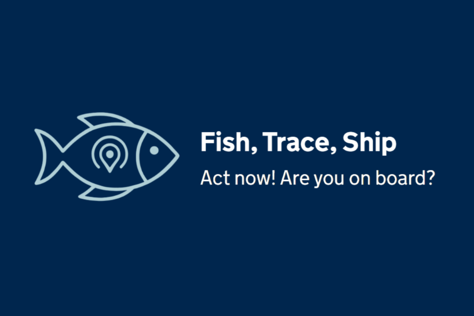 MMO shines Fish, Trace, Ship campaign spotlight on actions to keep UK exports to the EU flowing