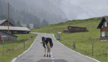 Auswandern: Das sind die Top 10 der Ziele in Europa für die Deutschen