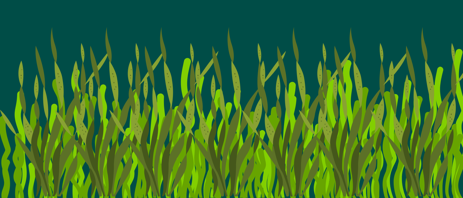 Strategies to Cultivate Seagrass Meadows