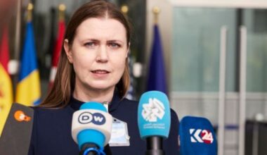 Lithuania calls for firm response to Russian aircraft over Estonia, recalls Turkiye