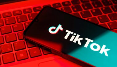'Hundreds' of pro-Russia TikTok accounts target Czechia's upcoming election