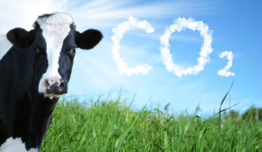 Rethinking methane emissions in the global food system
