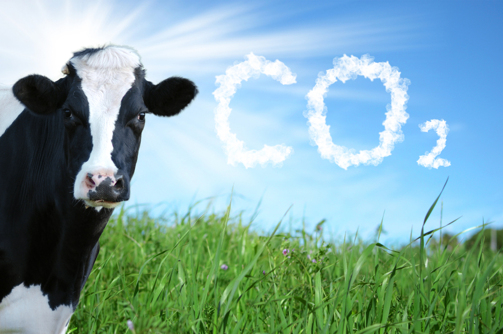 Rethinking methane emissions in the global food system